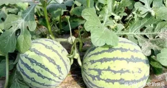 厉害了,河南这5个县市区被教育部点名,未来发展要逆天!