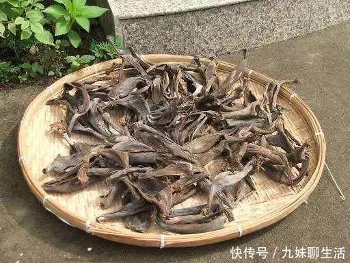 把这3样水果扔盆里,盆栽就像吃了兴奋剂,疯长