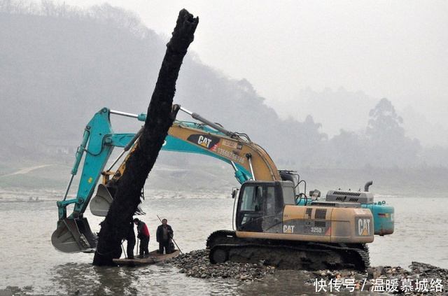 农村渔民江边发现巨木,打捞上来一看,顿时乐傻了