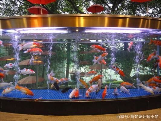 河源水族批發(fā)市場(chǎng)地址在哪里啊多少錢(qián)（河源水產(chǎn)海鮮批發(fā)市場(chǎng)） 觀賞魚(yú)水族批發(fā)市場(chǎng)