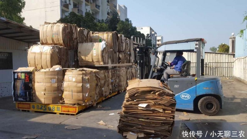 7月21日废纸暴跌趋势开始减弱?今日最新价格