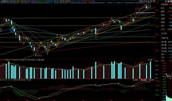 今日热点股票讲解:设计总院 益生股份 皇马科技