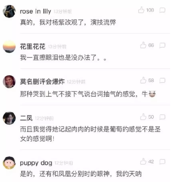 杨紫：你长那么丑，凭什么做流量小花？