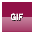 GIF Converter