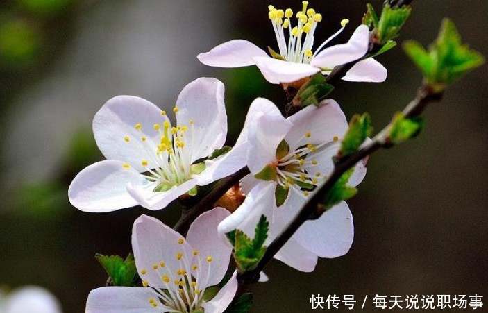 职场老油条提醒:领导最怕员工这两点,员工最怕