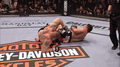 400_225gif 动态图 动图