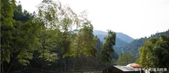 留学生放弃大城市工作,毅然决定回家创业,和蜜