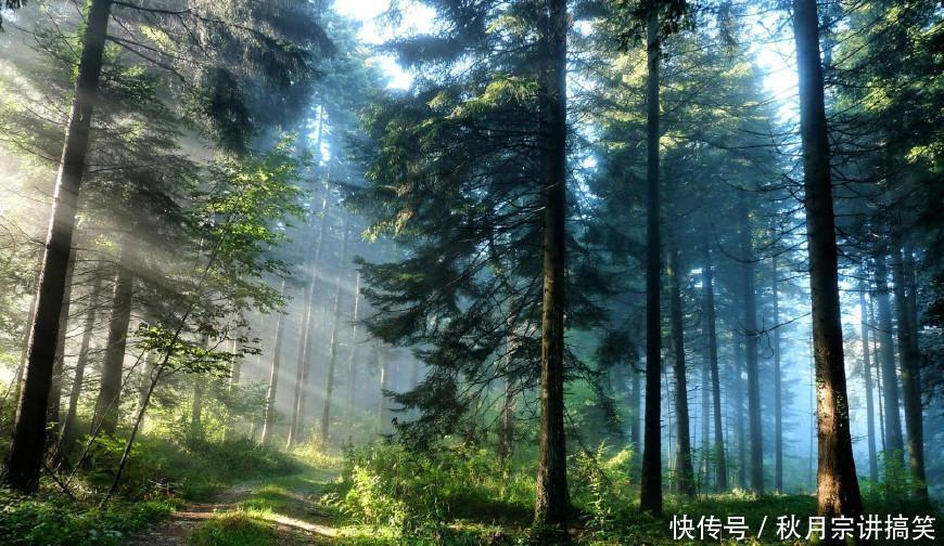 脑筋急转弯:加减乘除少一点,打一字?这题难倒