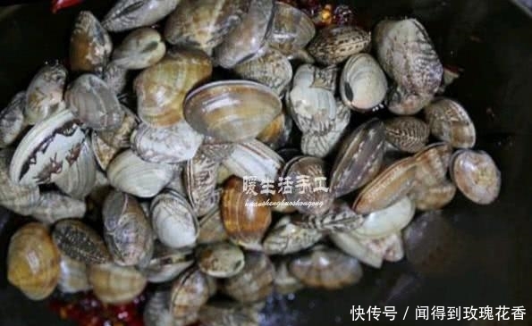 t01e8beefd1adbe8c73.jpg
