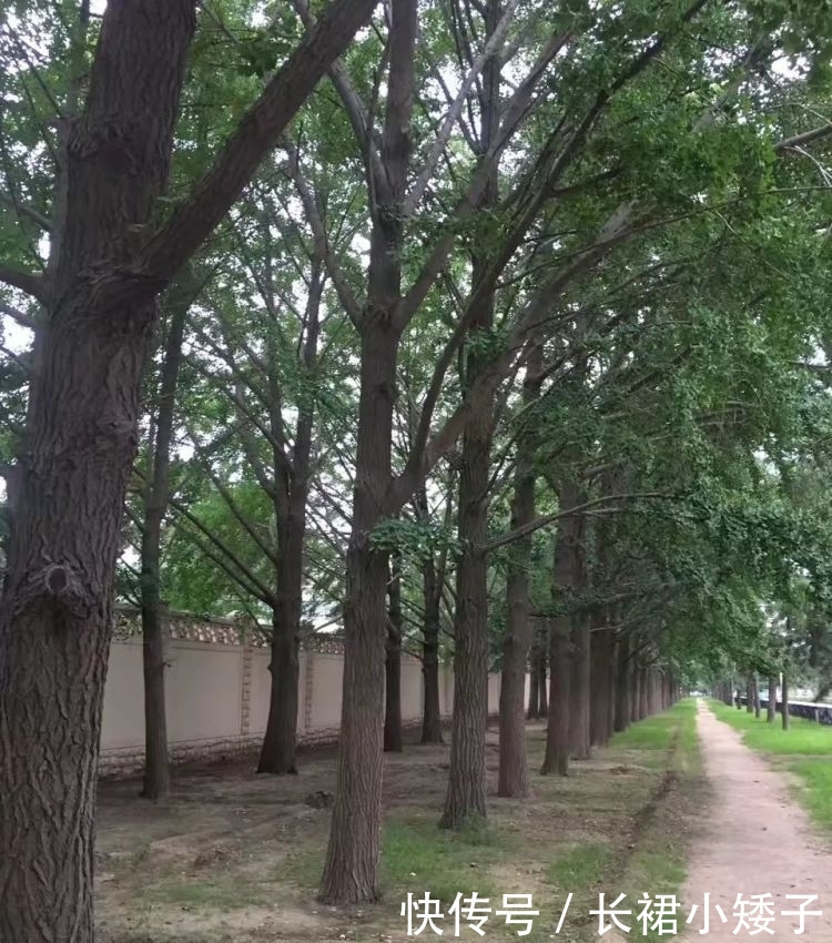 社保卡怎么补办