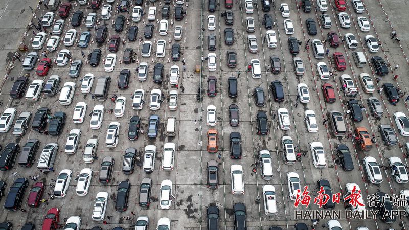 又起雾海口\"三港\"再停航 滞留车辆蜗牛爬等候