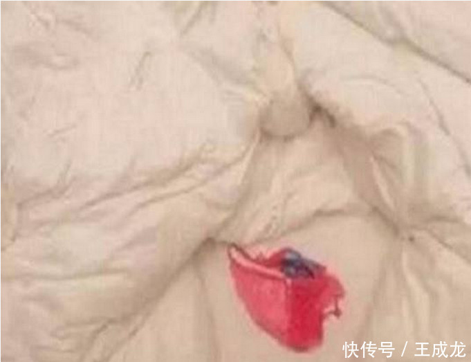 情侣退房后竟留下“一叶红”,接下保洁可怒了!