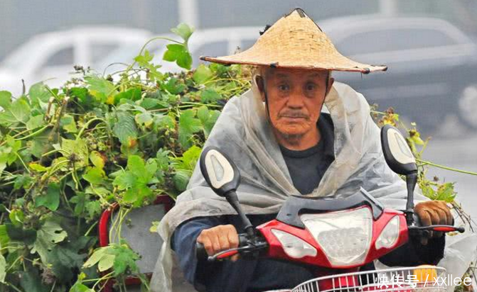 “风吹佛爷背，有粮也不贵”！看看这麦子的价格，老农的话我信了