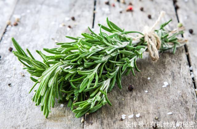 古代人头发又长又黑,真相是洗头用3物,3天不洗