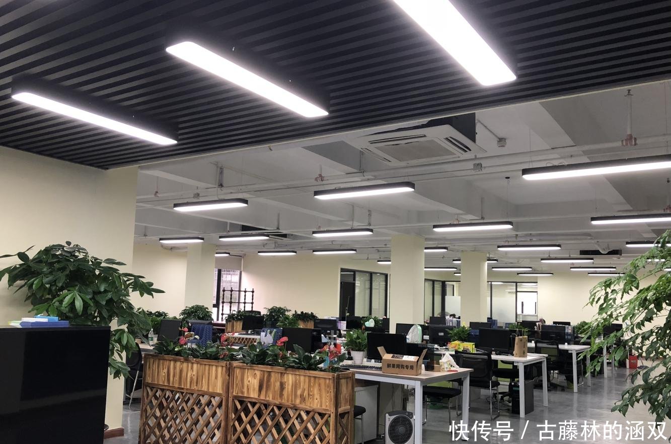 农产品只要过了他们俩的手, 就是您手指尖的网