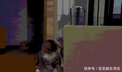 这只胖猫简直表情一个行走1的网友人的好看表情包啊,就是:赶图片