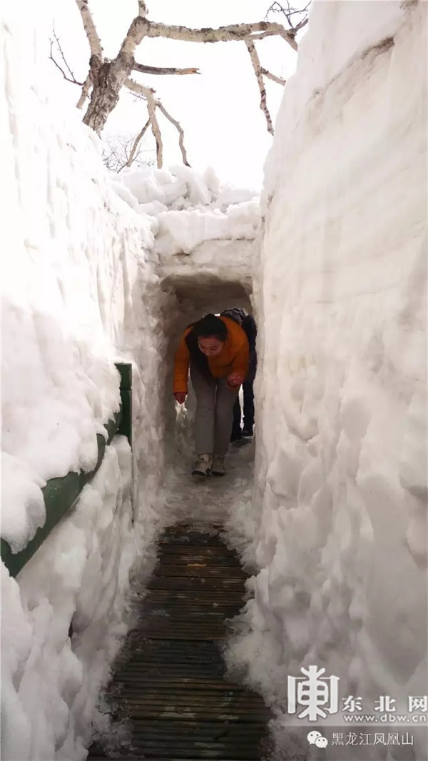 龙江·凤凰山五月上演季节\＂穿越\＂ 冰雪风光吸粉千人