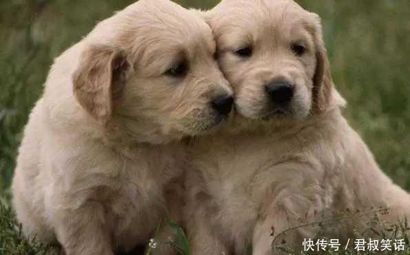 开心一刻:今天哥们把暗恋的美女约出来,两个人