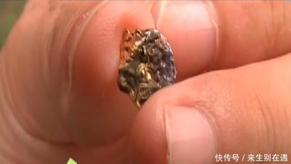 到付是什么意思