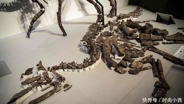 t01ef6505b0401bf8e9.jpg?size=615x348