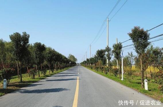 农村公路一直在修，为什么很多道路用不了太久就得重修