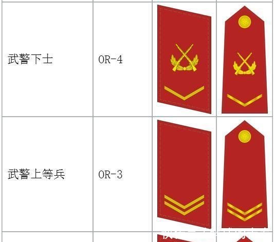 涨姿势!科普中国人民武装警察部队警衔制度_【