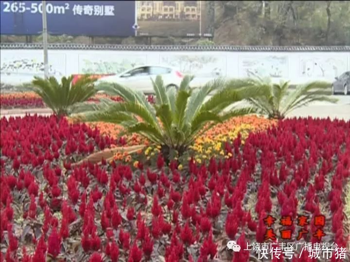 创卫忙 上饶广丰区:当好城区大管家 提升城市