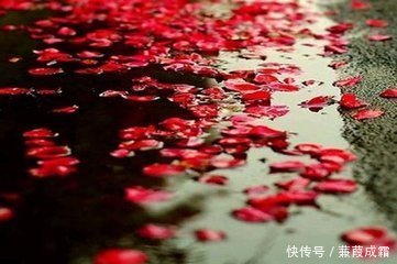 风过竹林雨凄凄,月落横塘梦依依