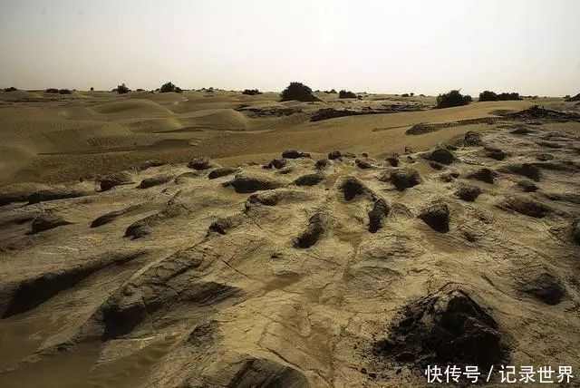 这里是地球之耳,科学家在这里考察时神秘失踪!你敢去吗?