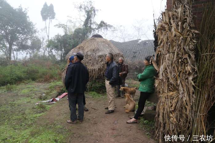 上半年没过,这3件事就难倒了农民,每个农村都有,该如何解决?