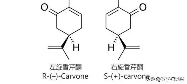 数学中的和点