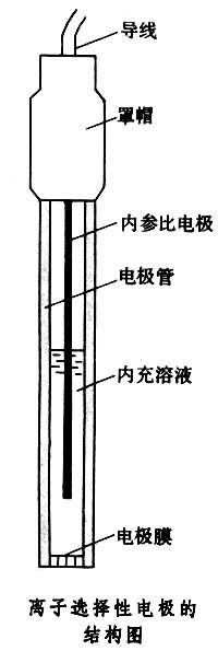 离子选择性电极