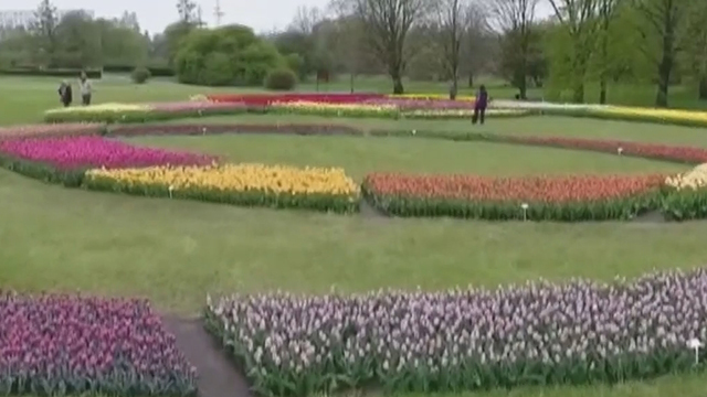 《1810我看行》20170506波兰郁金香花展