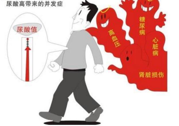 身体尿酸太高,促排泄是关键,1种食物要多吃!