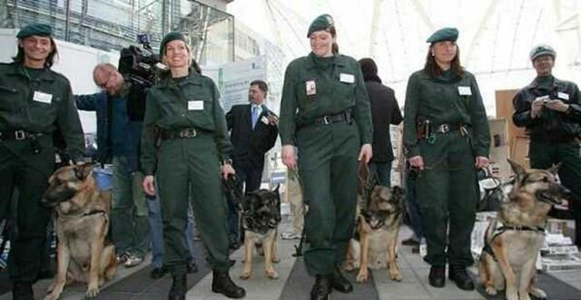 安检员带警犬巡查,狗狗箱子嗅来嗅去,打开箱子后愣住了!