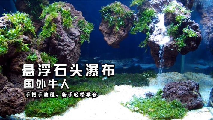 青島二手魚(yú)缸交易平臺(tái)：青島二手魚(yú)缸交易平臺(tái)的優(yōu)勢(shì)