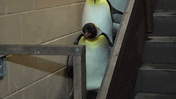 看大妈的架势,跆拳道至少a段级别了!