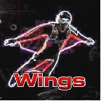 Dive Wings(潜水翼)