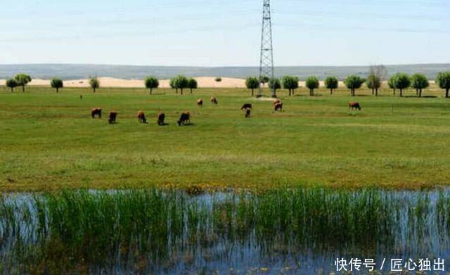 中国最成功的沙漠变绿洲,从光秃沙漠变绿树成