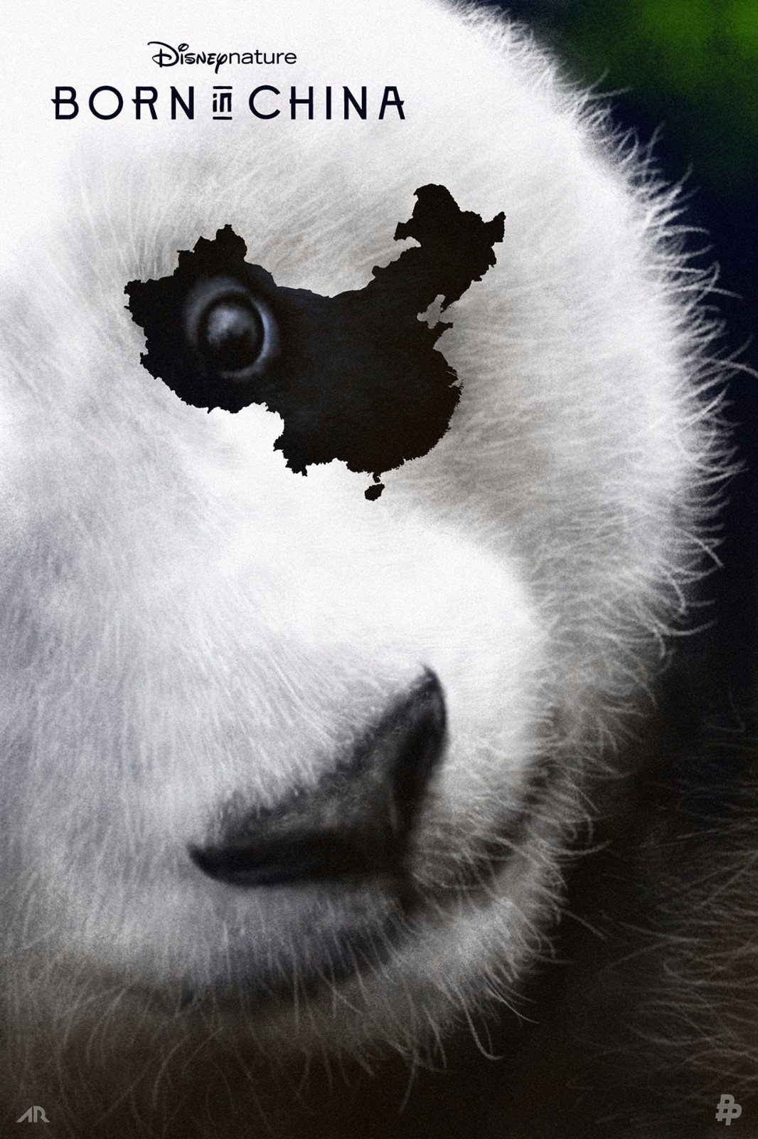 《我们诞生在中国》国际版熊猫海报