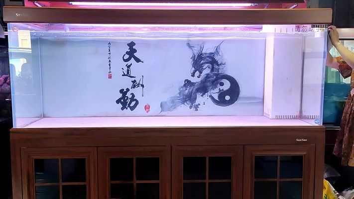 龍魚土霉素用法用量（500升水魚缸土霉素用量） 廣州龍魚批發(fā)市場