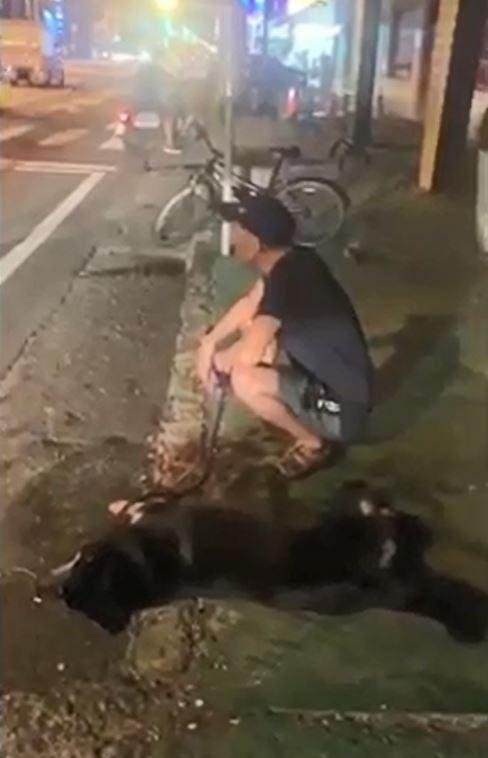 派出所笔录多久消除