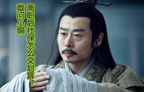 医保自己怎么交