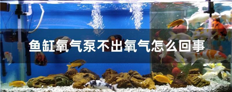 上海市黃浦區(qū)月河水族用品商店（上海市黃浦區(qū)月河水族用品商店地址）