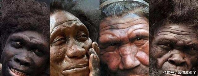 人类是从哪里来的?人为什么会死?