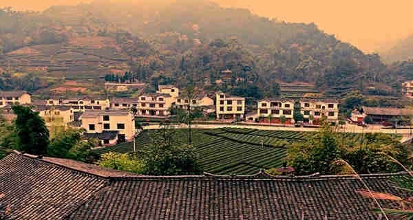 二级残疾证最新政策