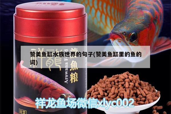 木紋石放魚缸硬水嗎還是軟水（木紋石放魚缸硬水嗎還是軟水好） 其他品牌魚缸