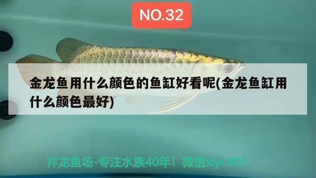 養(yǎng)什么可以清潔魚缸水質(zhì)（養(yǎng)什么可以清潔魚缸水質(zhì)污染）