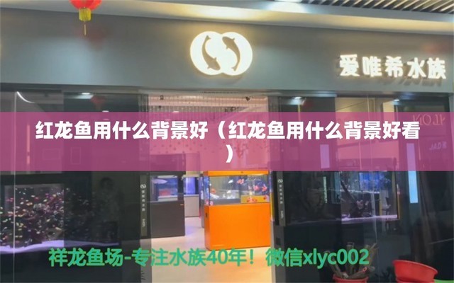 南昌市東湖區(qū)國泰花卉寵物店 全國水族館企業(yè)名錄