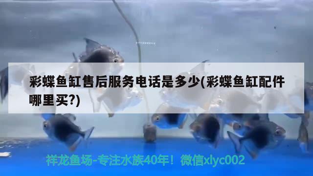 長春市二手魚缸最新發(fā)布（長春市二手魚缸最新發(fā)布信息網(wǎng)）